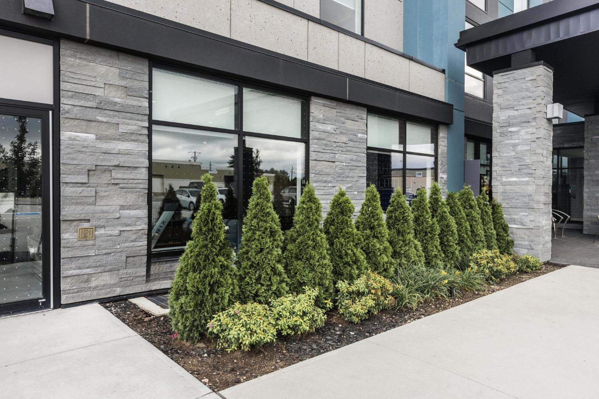 Holiday Inn Express & Suites - Toronto Airport South By Ihg 外观 照片